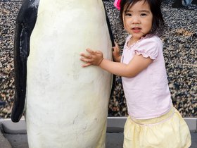 dsc02750jpg_20611661894_o.jpg