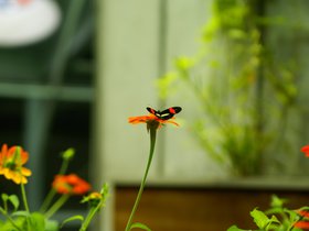 dsc03355_4906198735_o.jpg