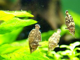 fish_4906813634_o.jpg