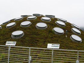 living-roof_4906242565_o.jpg