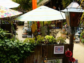 aslans-garden_4909503282_o.jpg