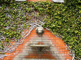 fountain_4909493616_o.jpg