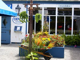 gardening-store_4908898955_o.jpg
