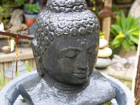 inside-aslans-garden_4908913611_o.jpg