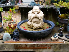 inside-aslans-garden_4908918935_o.jpg