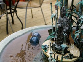 inside-aslans-garden_4909513328_o.jpg