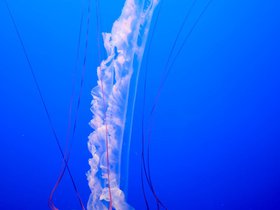 DSCF6473.jpg