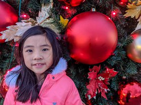 IMG_20191230_170031.jpg