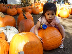 dsc03444jpg_39490078761_o.jpg