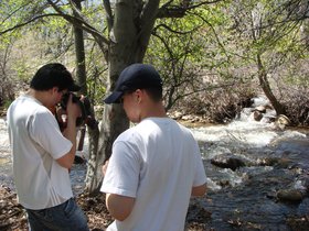beside-the-kern-river_4913686796_o.jpg