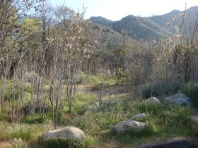 field_4913640812_o.jpg