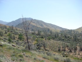 hills-around-the-lake_4913067301_o.jpg