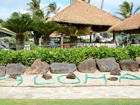 aloha_6514426205_o.jpg