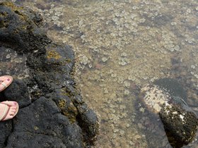 poipu-beach_6514436409_o.jpg