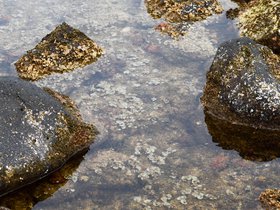poipu-beach_6514438023_o.jpg