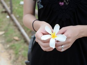 poipu-flower_6514439859_o.jpg