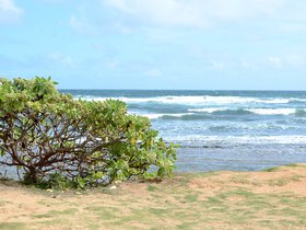 resort-ocean-view_6514426991_o.jpg