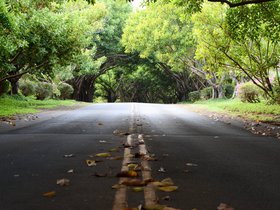 road-out_6514433015_o.jpg