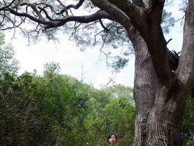 waimea-canyon-trail_6445249021_o.jpg