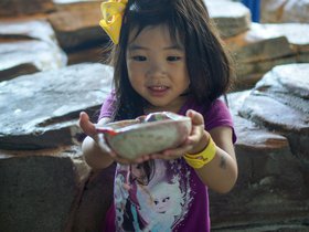 dsc08700jpg_30709270932_o.jpg