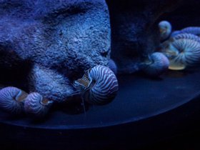 dsc02735jpg_8932242699_o.jpg