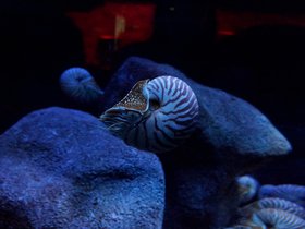 dsc02736jpg_8932244019_o.jpg