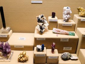 DSCF5684.jpg