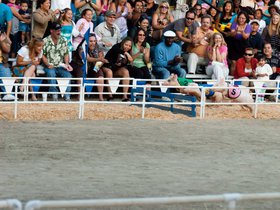 over-the-hurdle_4933539879_o.jpg