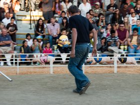 racing-for-the-finish-line_4934140522_o.jpg