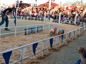 round-the-bend_4933553137_o.jpg