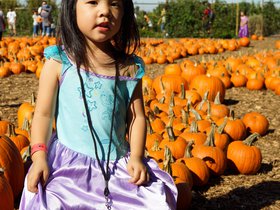 dsc04869jpg_22675524506_o.jpg