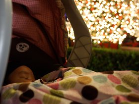 christmas-tree-lighting-event_8206956675_o.jpg