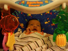 serena-in-aquarium-bouncer_8133821417_o.jpg