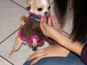 little-nice_5209233781_o.jpg