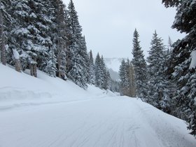 down-the-jupiter-lift-trail_5317852284_o.jpg